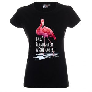 Flaming - Bądź flamingiem wśród gołębi